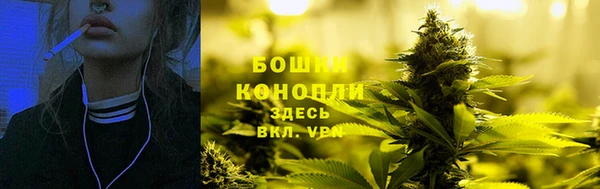 Альфа ПВП Корсаков