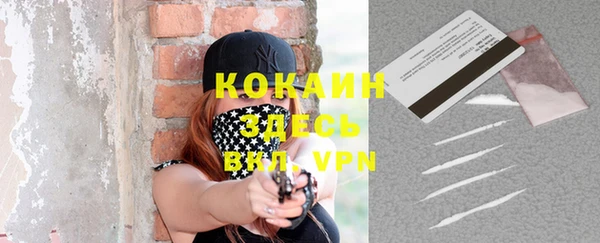 Альфа ПВП Корсаков