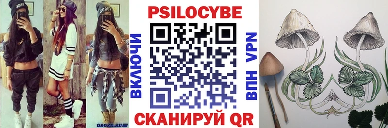 как найти наркотики  Медногорск  Галлюциногенные грибы мицелий 