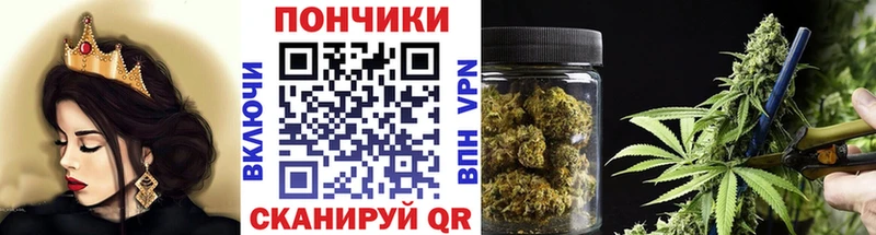 как найти   Медногорск  Шишки марихуана ГИДРОПОН 